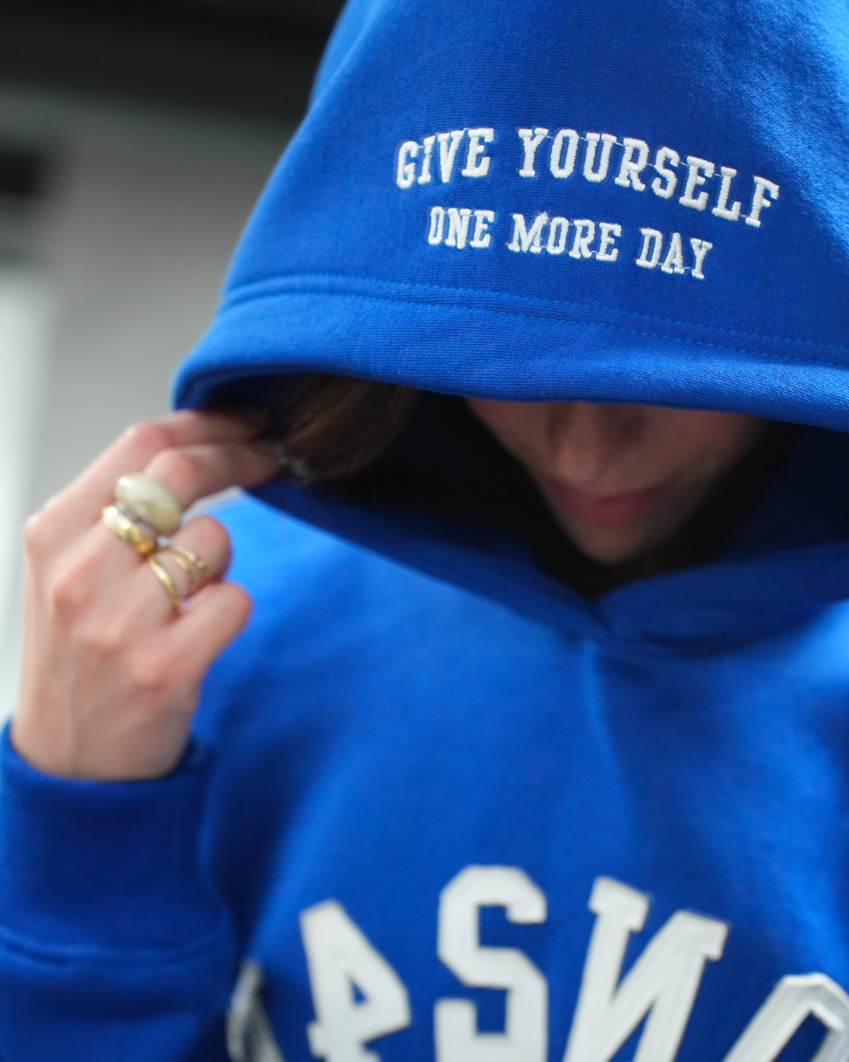 Hoodie Bleu - Nouvelle Ere